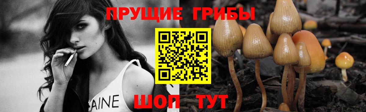 Псилоцибиновые грибы ЛСД  Вход с VPN  Качканар 